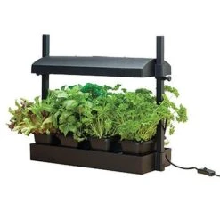 Grow Light Garden (Black)