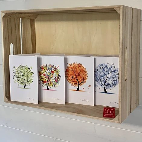 Silver Birch Tree (Betula Pendula) Grown By Cotswold Trees - Image 8