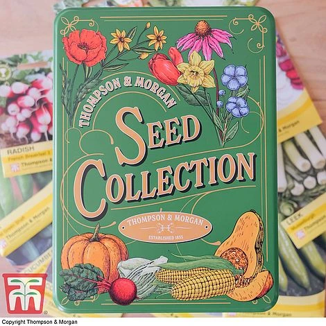 Seed Collection Tin - Gift - Image 2